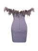 Siriano Grey Feather Corset Dress